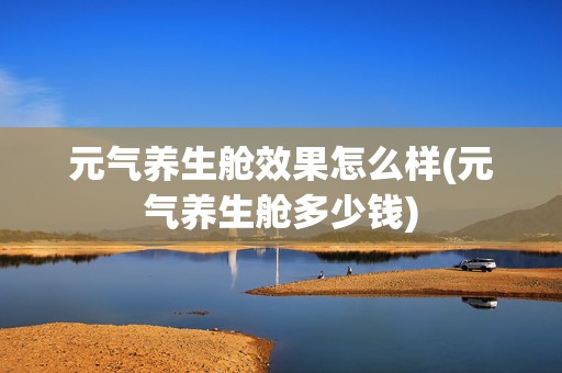 元气养生舱效果怎么样(元气养生舱多少钱)