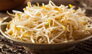黑豆芽炖多久能熟 黑豆芽炖多久能熟透