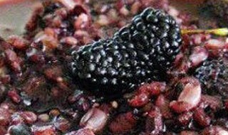 黑豆桑葚制作方法（桑葚煮黑豆的功效）