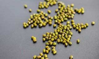 黑米绿豆粥的做法大全 黑米绿豆粥的做法大全窍门