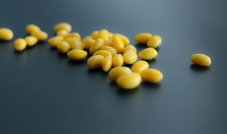 黄豆泡发的快速方法 黄豆泡发的快速方法大全